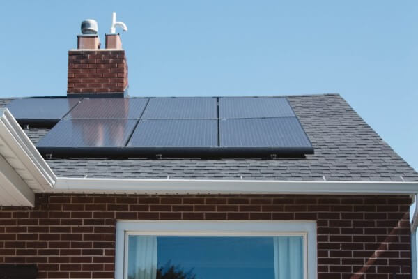 PEST CONTROL HARPENDEN, Hertfordshire. Services: Solar Panel Bird Proofing. Defend Your Solar Panels Against Bird Intrusions with Local Pest Control Ltd's Specialized Bird Proofing Services in Harpenden